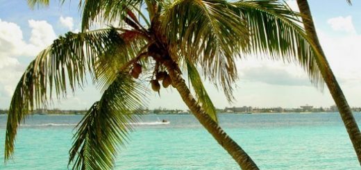 Bahamas Nassau