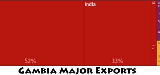 Gambia Major Exports
