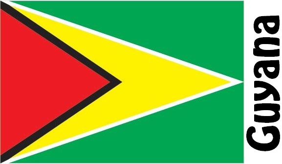 Guyana Country Flag