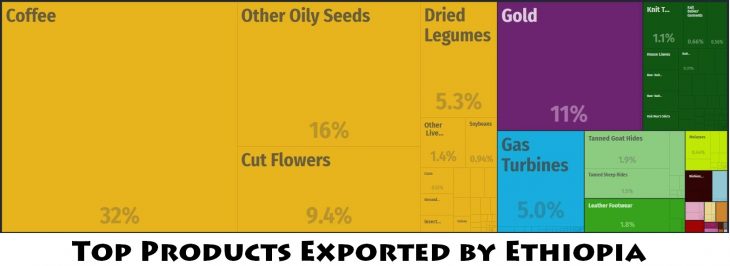 Top Products Exported by Ethiopia