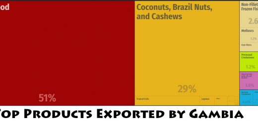 Top Products Exported by Gambia