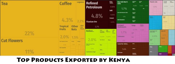 Top Products Exported by Kenya