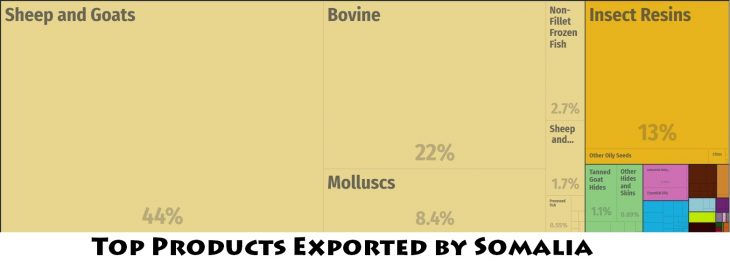 Top Products Exported by Somalia