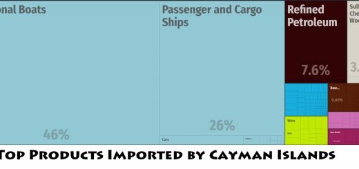 Top Products Imported by Cayman Islands