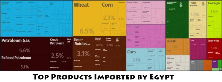 Top Products Imported by Egypt