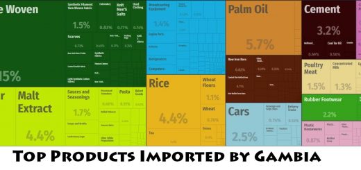 Top Products Imported by Gambia