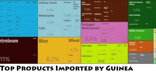 Top Products Imported by Guinea