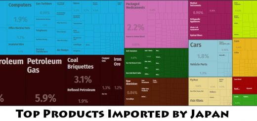 Top Products Imported by Japan