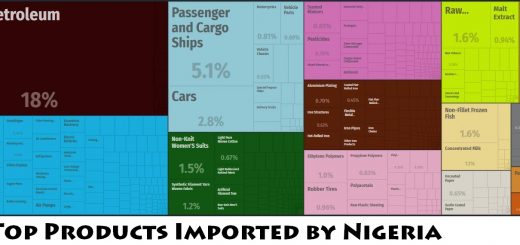 Top Products Imported by Nigeria