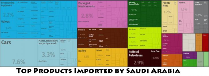Top Products Imported by Saudi Arabia