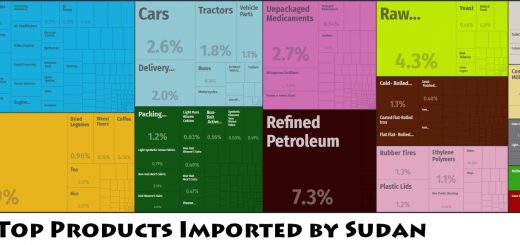 Top Products Imported by Sudan
