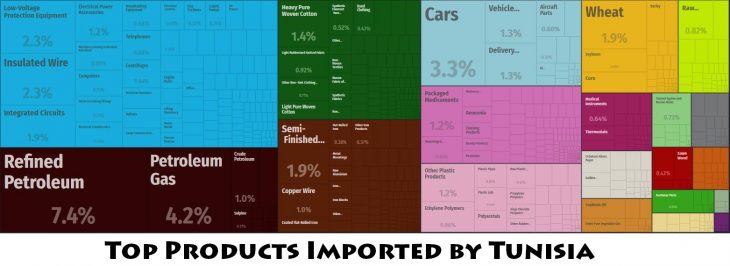 Top Products Imported by Tunisia