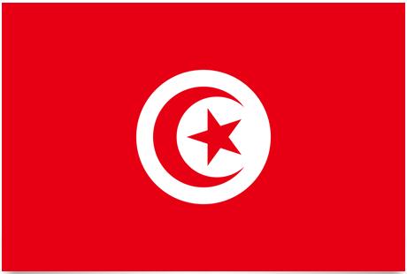 Flag of Tunisia