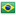 Brazil Flag