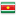 Suriname Flag