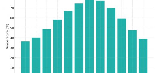 Average Monthly Temperatures In Tennessee