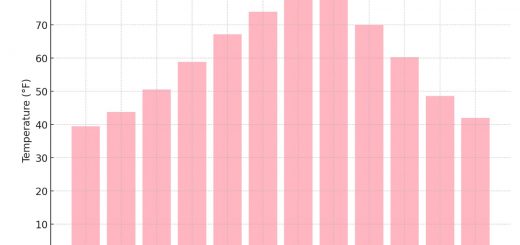 Average Monthly Temperatures In South Carolina