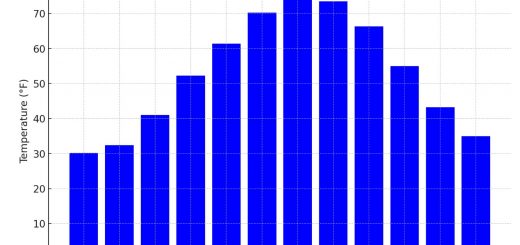 Average Monthly Temperatures In New York