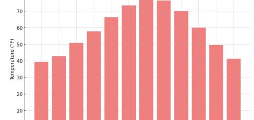 Average Monthly Temperatures In North Carolina