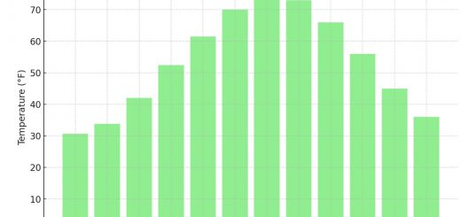 Average Monthly Temperatures In New Jersey