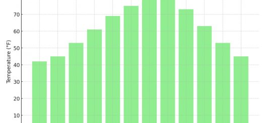 Average Monthly Temperatures In Georgia