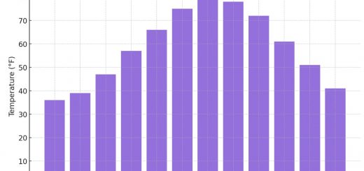 Average Monthly Temperatures In Delaware