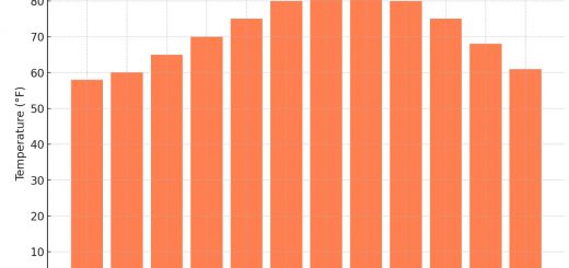 Average Monthly Temperatures In Florida